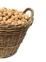 Walnuts in wicker basket isolated