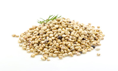 Soya bean