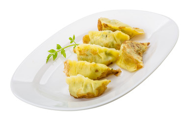 Japan dumplings - gyoza