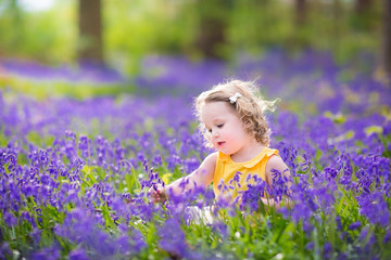 Cute toddler girl sitting in bluebell flowers in spring meadow
