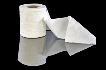 White patterned toilet paper in a roll
