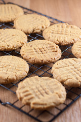 Peanut Butter Cookies