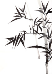 Obraz premium liść bambusa