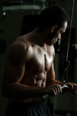 Fototapeta na wymiar Triceps Workout