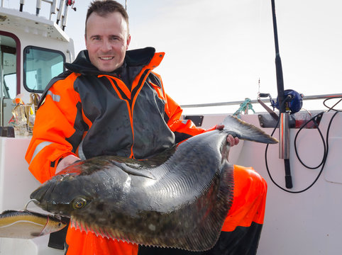 Man with huge halibut fishing trophy