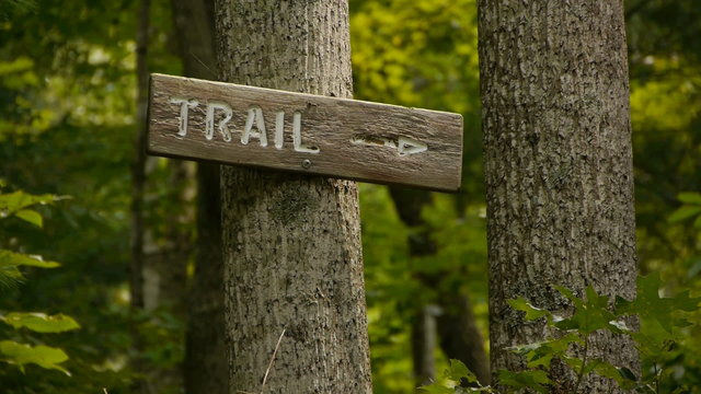 Hiking Trail Marker Sign in a Serene Forest