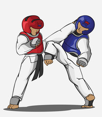 Taekwondo martial art