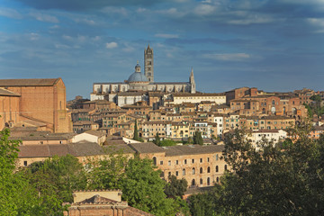 Obraz premium Siena (Tuscany, Italy)