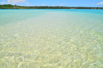 Summer Beach on the Island