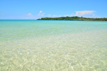 Summer Beach on the Island