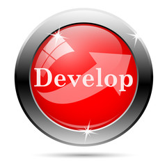 Develop icon