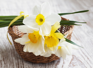 Fototapeta na wymiar daffodils