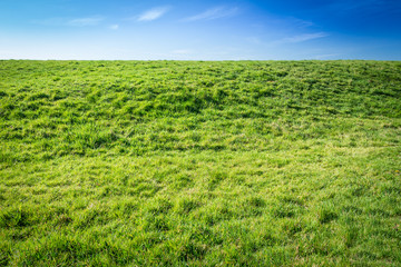 The Grass is always greener - Green grassy damm with blue sky