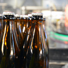 Fliessband mit Bierflaschen in Brauerei // beer bottles