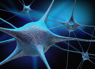Neurons and neural connection - 64473704