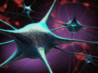 Neurons and neural connection - 64473719