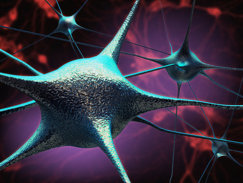Neurons and neural connection