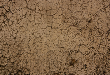 Old plaster walls