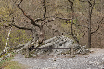 Harzer Hexen-Stieg / Bodetal-Stieg zwischen Treseburg und Thale