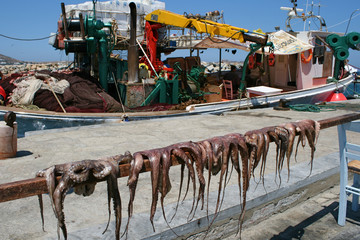 Octopus Naoussa Paros Cyclades Greece 01