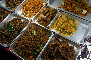Fried insects