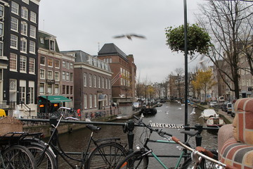 Naklejka premium amsterdam