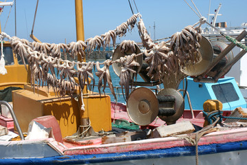 Fishing Boat Octopus Naoussa Paros Cyclades Grece 02