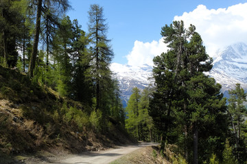 Walking trail of Swiss Alps in spring.