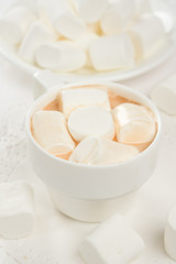 Fototapeta na wymiar Cocoa with marshmallows