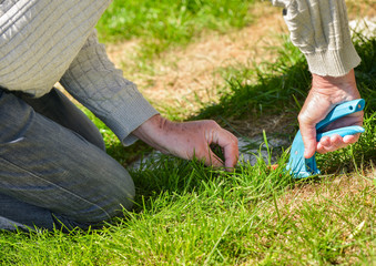 Senior cutting grass with shears