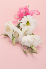 Obraz na płótnie Canvas white flowers on pink