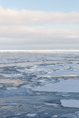 Naklejka na ściany i meble Drift ice, Sea of Okhotsk, Japan