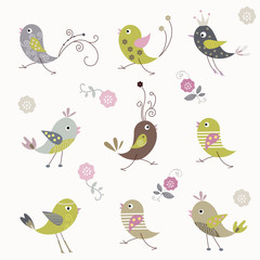 seamless pattern with cute birds