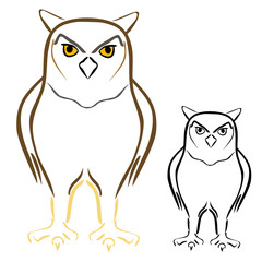 Owl