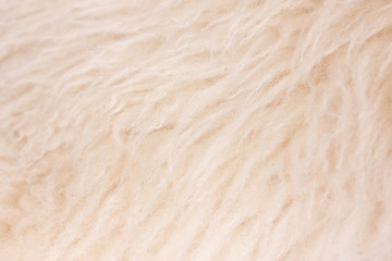 Fur