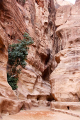 Petra gorge, Jordan,