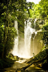 Fototapeta premium Wasserfall in Chiang Mai