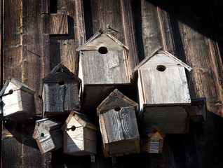 Bird's commune