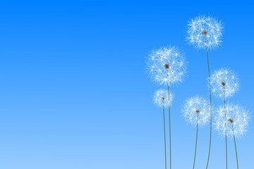 Digitally generated dandelions against blue sky