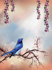 Blue bird in a spring morning