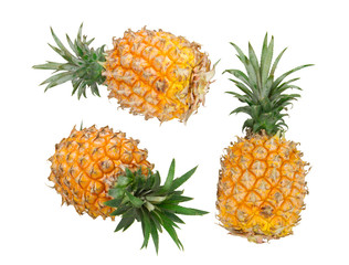 pineapple