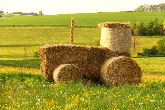 bulldog aus stroh II