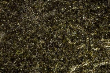 seaweed background texture © filipobr