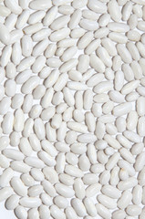 white beans