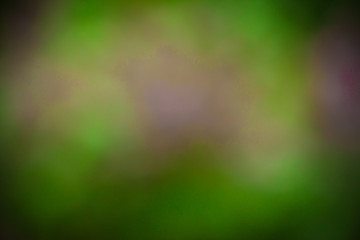 garden background or texture