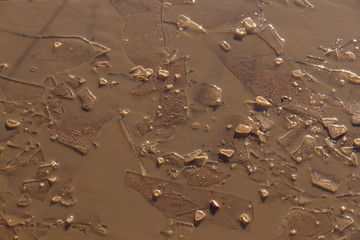 Placas de Hielo en Charco