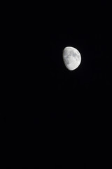 Luna en la Noche