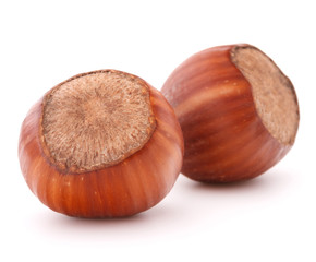 hazelnut or filbert nut isolated on white background cutout