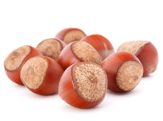 hazelnut or filbert nut isolated on white background cutout