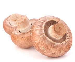 Brown champignon mushroom